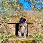 Σπίτι διακοπών Herdade De Acores *