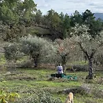 Herdade De Acores Σπίτι διακοπών