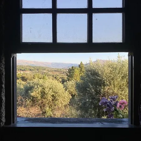 Herdade De Acores Holiday home Aldeia Rica