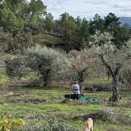 Herdade De Acores Σπίτι διακοπών